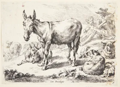 Æsel og geder