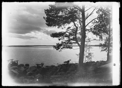 Selkärannan uimalaituri
