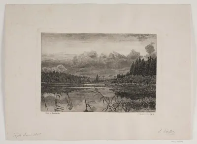 Søen i granskoven