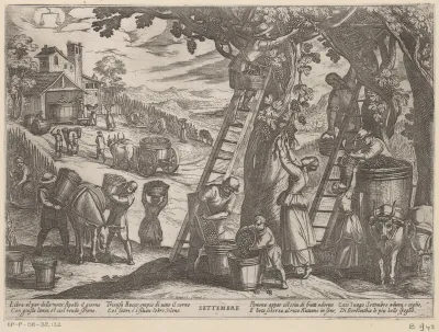 September: wijnoogst (weegschaal)