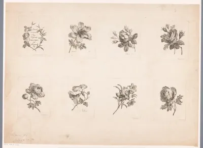 Serietitel en zeven bloemen