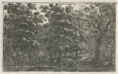 Seuniger bos