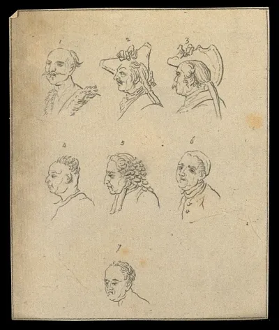 Seven physiognomies