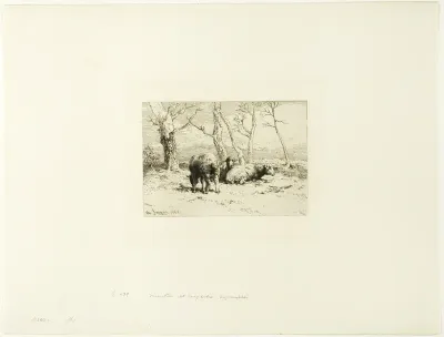 Sheep and Five Trees