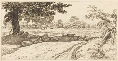 Sheep at Noon