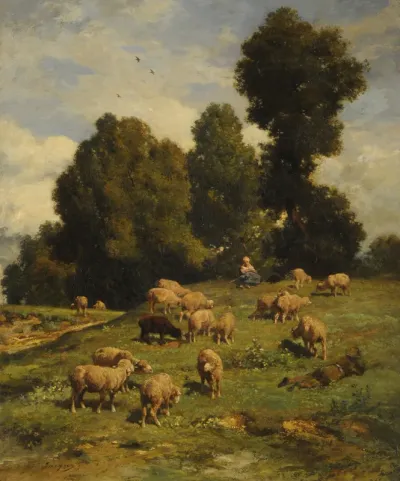 Sheep in pasture
