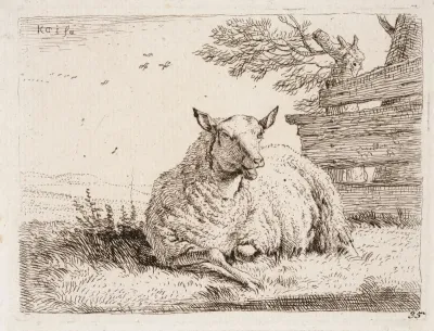 Sheep Near the Wooden Hedge