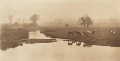 Sheep on the Marshes