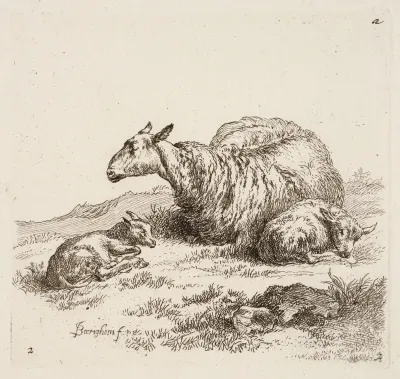 Sheep with Two Lambs