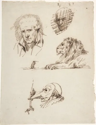 Sheet of Studies:  Three Male Heads, a Lion and a Mouse
