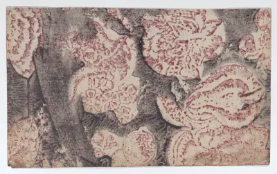 Sheet with floral pattern with dark background