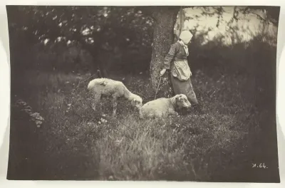 Shepherdess Leaning Against a Tree, with Two Sheep