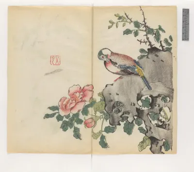 Shi zhu zhai shu hua pu (FH.910.83-98)