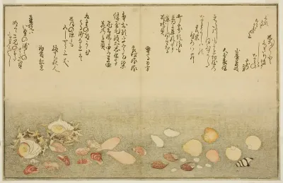 Shiro-gai, namima-gashiwa, makura-gai, iro-gai, aza-gai, sadae-gai, from the illustrated book "Gifts from the Ebb Tide (Shiohi no tsuto)"