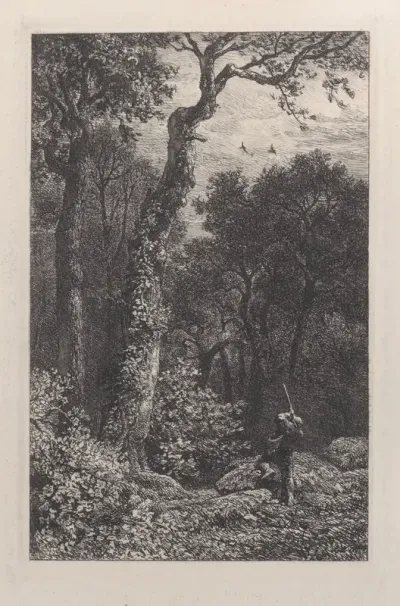 Shooting a Woodcock