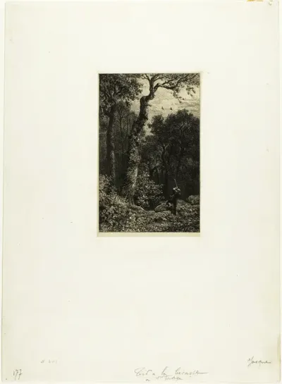 Shooting Woodcock