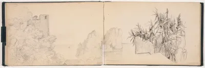 Shore Landscape and Plant (1/2)