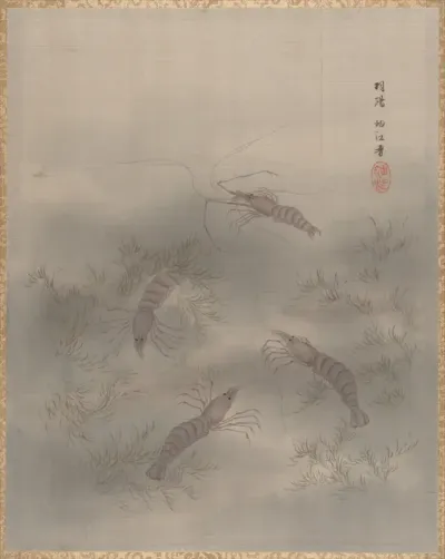 Shrimp (Ebi)