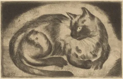 Siamese kat