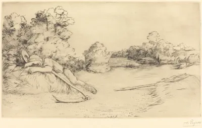 Siesta of a Harvester