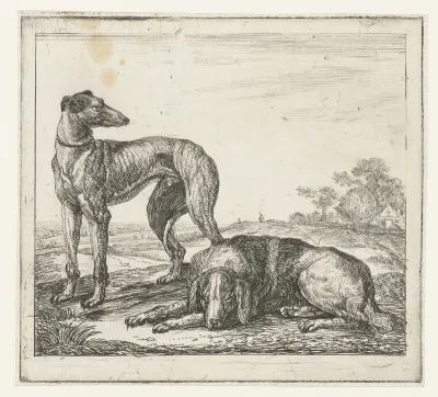 sighthound and hunting dog