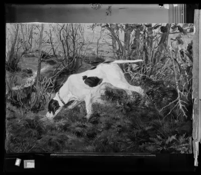 Sigrid Granfelt: "Ajokoira" vuodelta 1895
