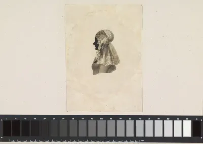 Silhouet van een Friezin