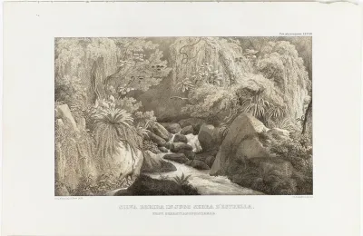 Silva Rorida in Jugo Serra D'Estrella, Prov. Sebastianopolitanae
