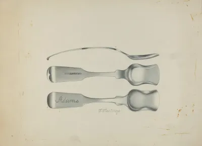 Silver Salt Spoon