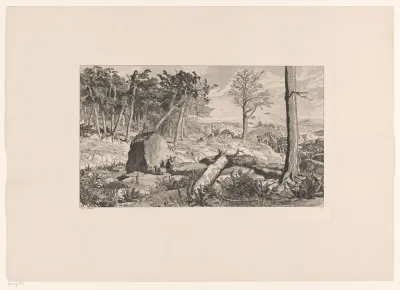 Simplicius alleen in de natuur
