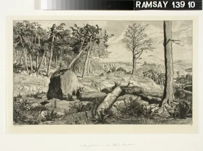 Simplicius in the Wilderness