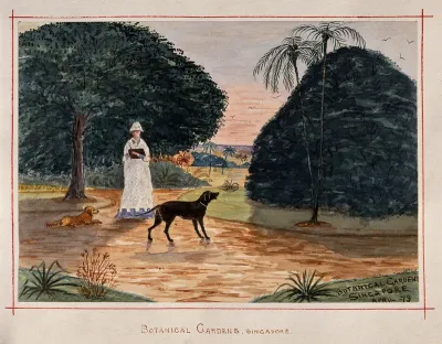Singapore: a person with dogs in the Botanical Gardens