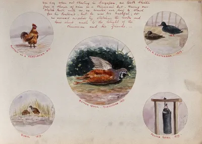 Singapore: five separate illustrations of Asian game birds and a weighing device