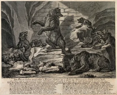 Six bears in an underground cave