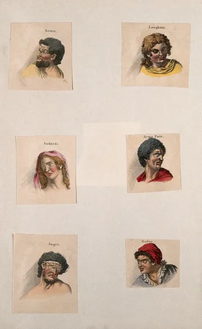 Six faces expressing the human passions: (clockwise from top left) scorn, laughter, acute pain, desire, anger, sadness