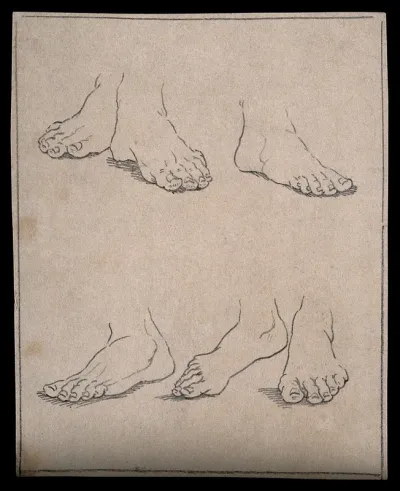 Six feet. Drawing, c. 1793
