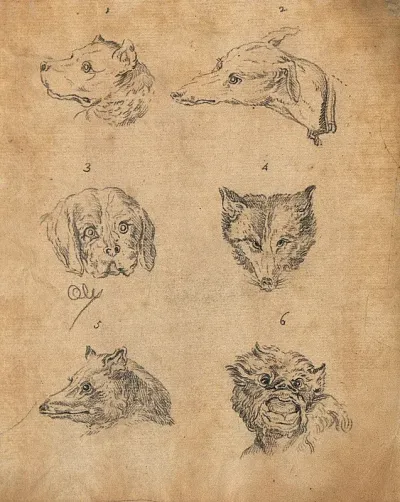 Six heads of dogs