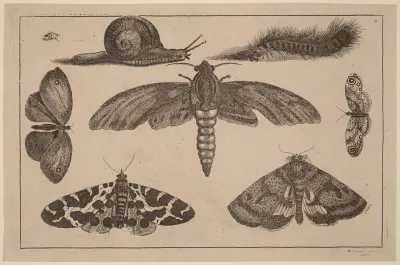 Six Insects, a Caterpillar, and a Snail