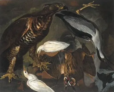 Six oiseaux de diverses espèces