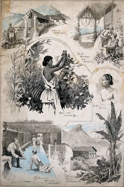 Six scenes from a Tamil village and neigbouring tea plantation