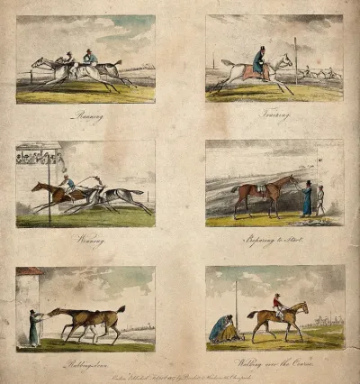 Six stages of a horse race, including running, training, winning, preparing to start, rubbing down and walking over the course