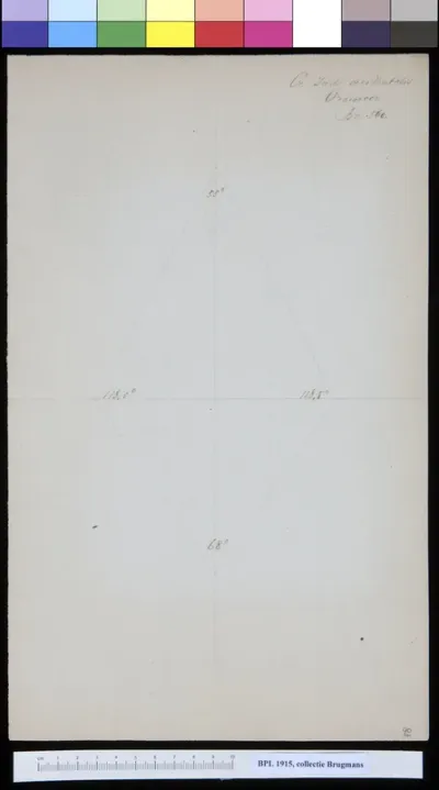 Size ratio of a skull of a man from the West Indies