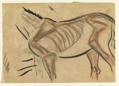 Skelet van een paard