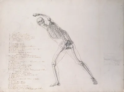 Skeletal structure of the 'Borghese Gladiator' statue, with pencil sketches of the head of Athene (?) and a landscape