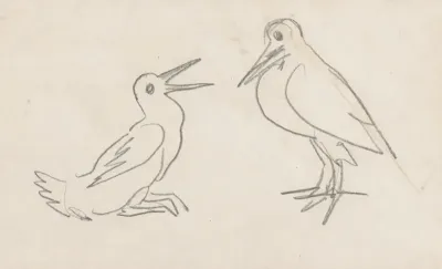 Sketch of Birds