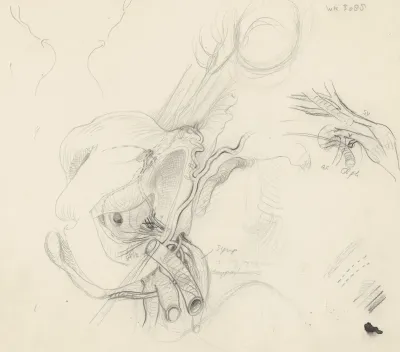 Sketch of the circulatory system of the head