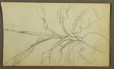 Sketches, Ecuador or Colombia; Verso: Sketches, Ecuador or Colombia