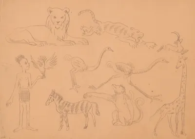 Sketches of African Animals and a Black Boy