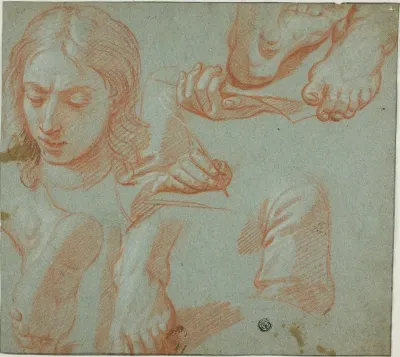 Sketches of Head, Hands, Shoulder, and Feet