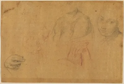 Sketches of Heads and Hands